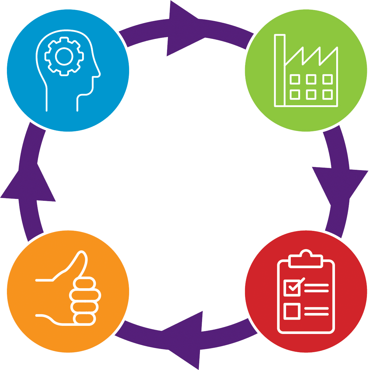 Hygiene Cycle Info Graphics Thumb6